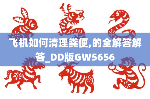 飞机如何清理粪便,的全解答解答_DD版GW5656