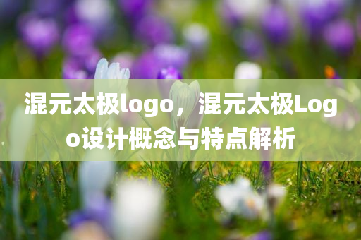 混元太极logo，混元太极Logo设计概念与特点解析