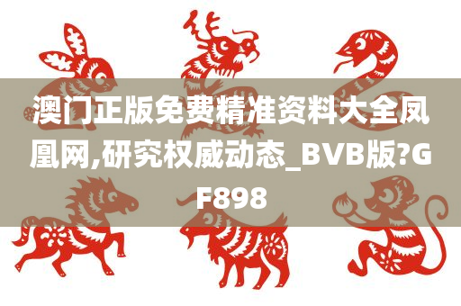 澳门正版免费精准资料大全凤凰网,研究权威动态_BVB版?GF898