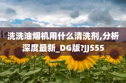 洗洗油烟机用什么清洗剂,分析深度最新_DG版?JJ555