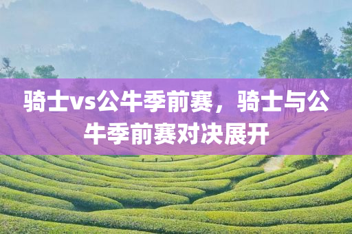 骑士vs公牛季前赛，骑士与公牛季前赛对决展开