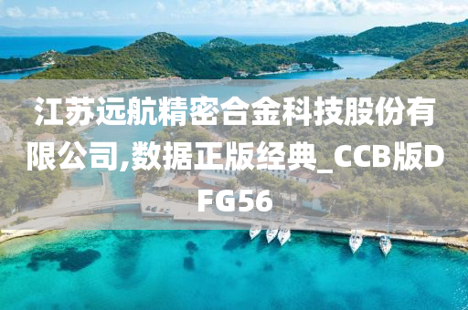 江苏远航精密合金科技股份有限公司,数据正版经典_CCB版DFG56