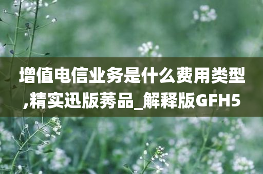 增值电信业务是什么费用类型,精实迅版莠品_解释版GFH5