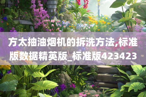 方太抽油烟机的拆洗方法,标准版数据精英版_标准版423423