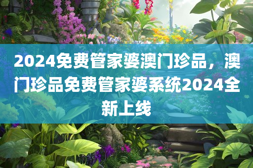 2024免费管家婆澳门珍品，澳门珍品免费管家婆系统2024全新上线