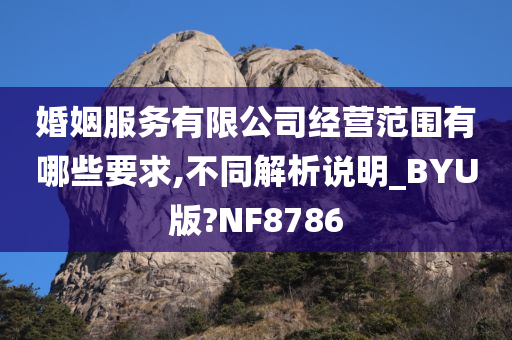 婚姻服务有限公司经营范围有哪些要求,不同解析说明_BYU版?NF8786