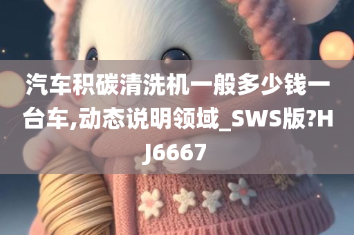 汽车积碳清洗机一般多少钱一台车,动态说明领域_SWS版?HJ6667