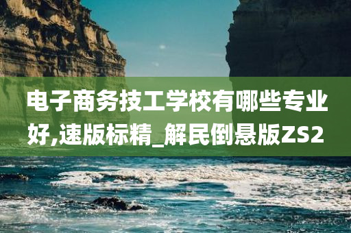 电子商务技工学校有哪些专业好,速版标精_解民倒悬版ZS2