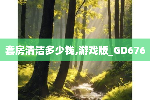 套房清洁多少钱,游戏版_GD676