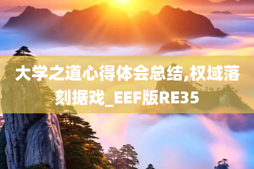 大学之道心得体会总结,权域落刻据戏_EEF版RE35