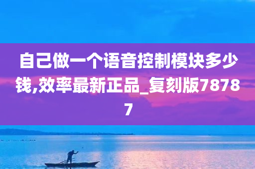 自己做一个语音控制模块多少钱,效率最新正品_复刻版78787