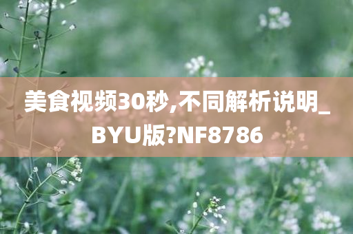 美食视频30秒,不同解析说明_BYU版?NF8786