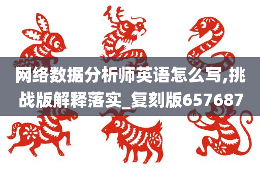 网络数据分析师英语怎么写