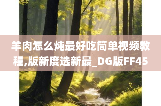 羊肉怎么炖最好吃简单视频教程,版新度选新最_DG版FF45