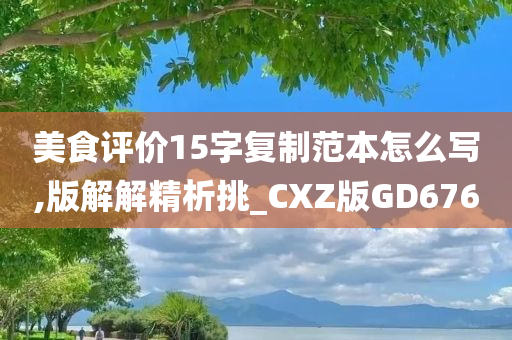 美食评价15字复制范本怎么写,版解解精析挑_CXZ版GD676