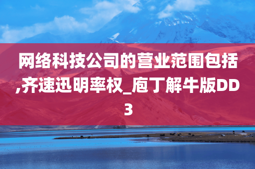 网络科技公司的营业范围包括,齐速迅明率权_庖丁解牛版DD3