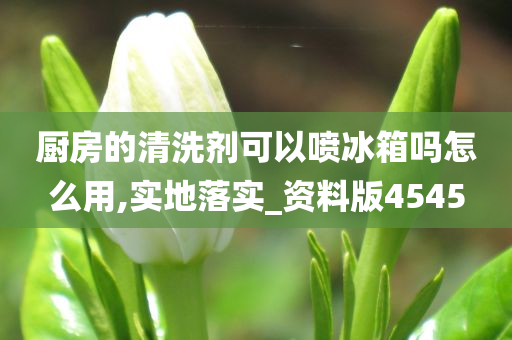 厨房的清洗剂可以喷冰箱吗怎么用,实地落实_资料版4545