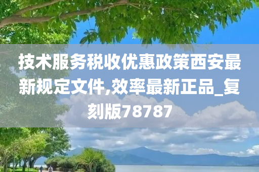 技术服务税收优惠政策西安最新规定文件,效率最新正品_复刻版78787