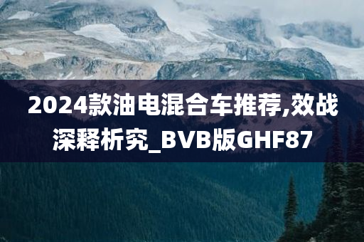 2024款油电混合车推荐,效战深释析究_BVB版GHF87