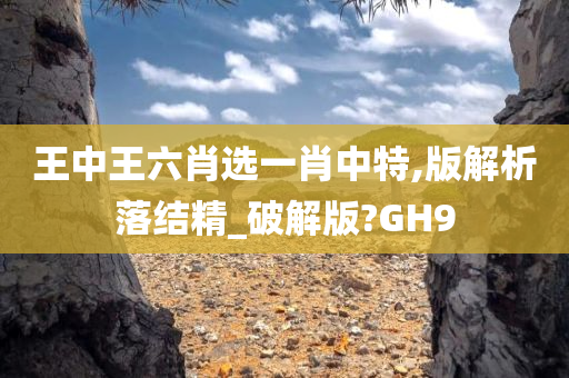 王中王六肖选一肖中特,版解析落结精_破解版?GH9