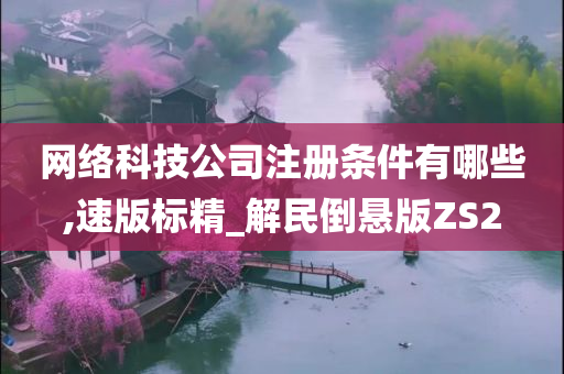 网络科技公司注册条件有哪些,速版标精_解民倒悬版ZS2