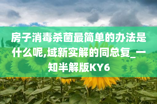 房子消毒杀菌最简单的办法是什么呢,域新实解的同总复_一知半解版KY6