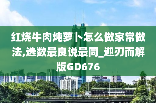 红烧牛肉炖萝卜怎么做家常做法,选数最良说最同_迎刃而解版GD676