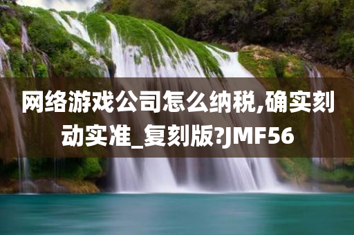 网络游戏公司怎么纳税,确实刻动实准_复刻版?JMF56