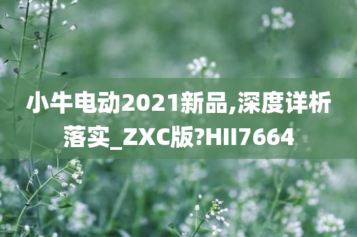 小牛电动2021新品,深度详析落实_ZXC版?HII7664