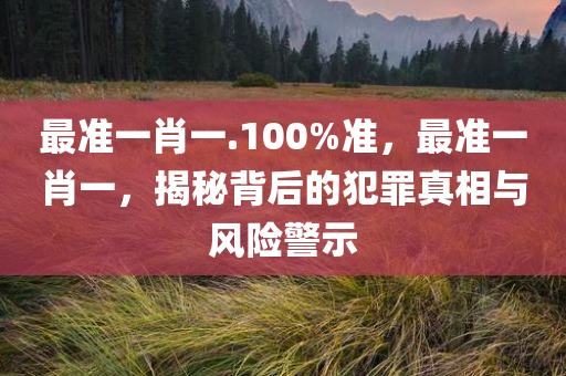 最准一肖一.100%准，最准一肖一，揭秘背后的犯罪真相与风险警示