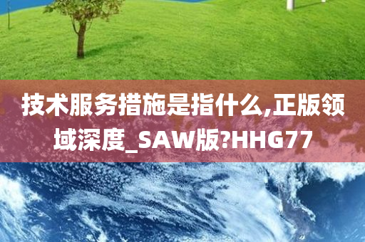 技术服务措施是指什么,正版领域深度_SAW版?HHG77