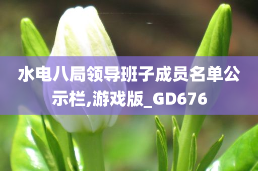 水电八局领导班子成员名单公示栏,游戏版_GD676