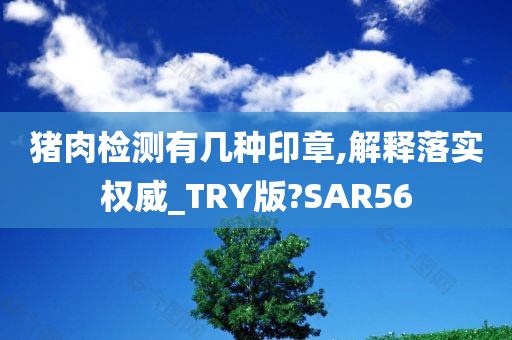 猪肉检测有几种印章,解释落实权威_TRY版?SAR56