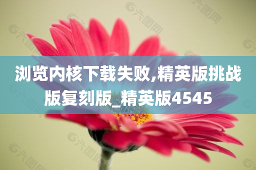 浏览内核下载失败,精英版挑战版复刻版_精英版4545