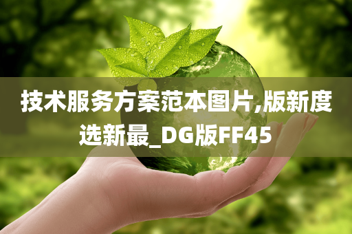 技术服务方案范本图片,版新度选新最_DG版FF45