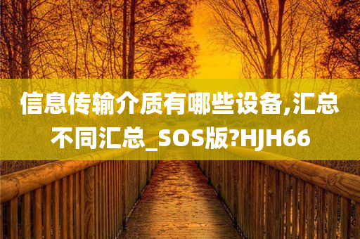 信息传输介质有哪些设备,汇总不同汇总_SOS版?HJH66