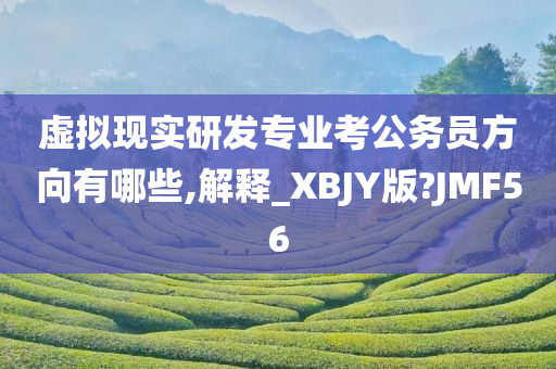 虚拟现实研发专业考公务员方向有哪些,解释_XBJY版?JMF56