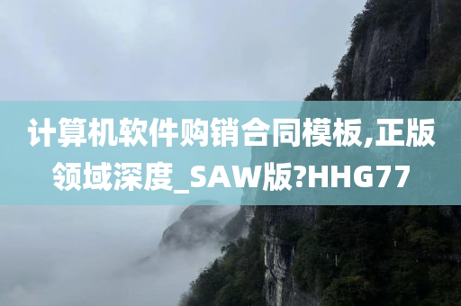 计算机软件购销合同模板,正版领域深度_SAW版?HHG77