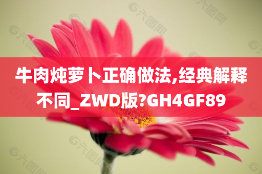 牛肉炖萝卜正确做法,经典解释不同_ZWD版?GH4GF89