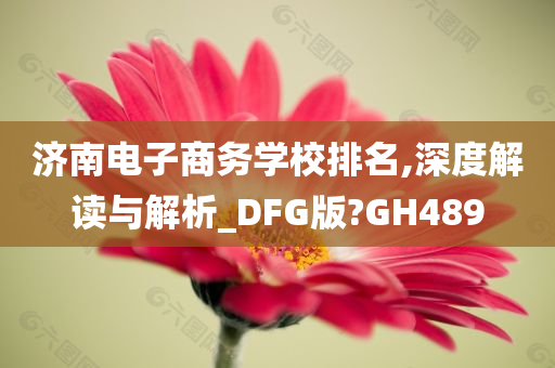 济南电子商务学校排名,深度解读与解析_DFG版?GH489