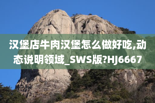 汉堡店牛肉汉堡怎么做好吃,动态说明领域_SWS版?HJ6667