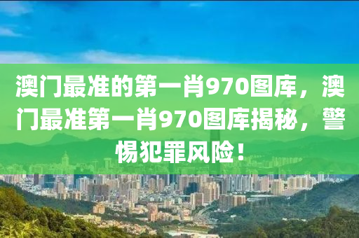 澳门最准的第一肖970图库，澳门最准第一肖970图库揭秘，警惕犯罪风险！