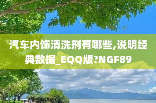 汽车内饰清洗剂有哪些,说明经典数据_EQQ版?NGF89