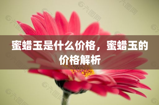 蜜蜡玉是什么价格