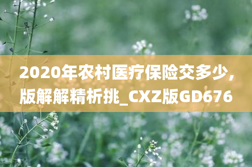 2020年农村医疗保险交多少,版解解精析挑_CXZ版GD676