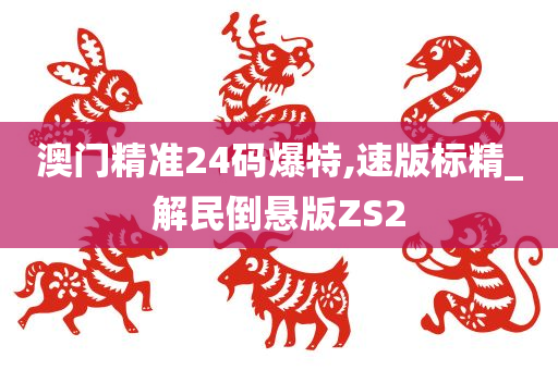 澳门精准24码爆特,速版标精_解民倒悬版ZS2