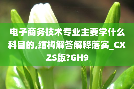 电子商务技术专业主要学什么科目的,结构解答解释落实_CXZS版?GH9