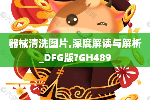 器械清洗图片,深度解读与解析_DFG版?GH489