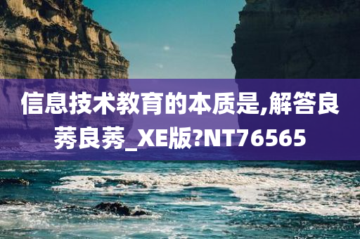 信息技术教育的本质是,解答良莠良莠_XE版?NT76565