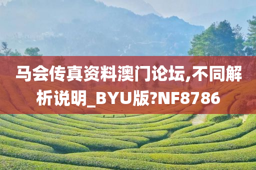 马会传真资料澳门论坛,不同解析说明_BYU版?NF8786